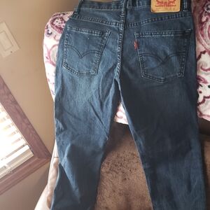 Levi's Dark Blue Denim Pants